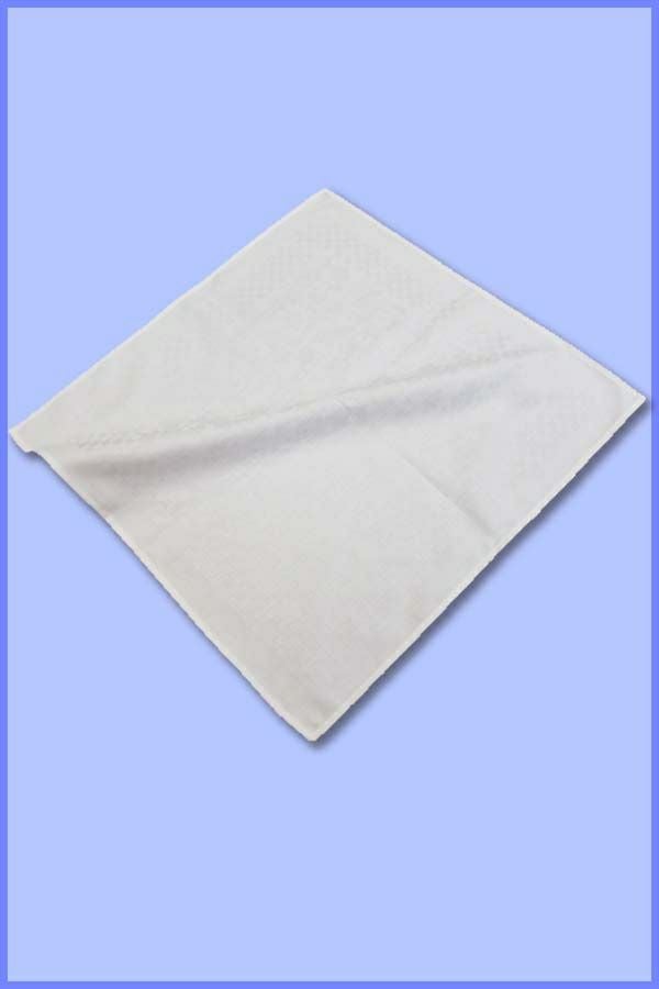 ナフキン・トーション（10枚入り）