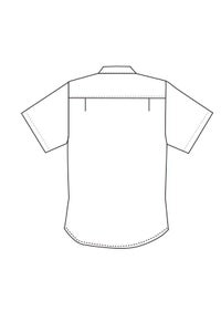 ボタンダウンシャツ（半袖）　イラスト　バックスタイル