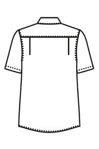 シャツ半袖　男女兼用　イラスト　バックスタイル