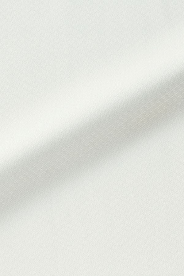 ブラウス半袖　生地