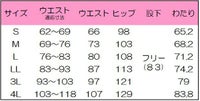 メンズパンツ　サイズ表