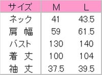サイズ表