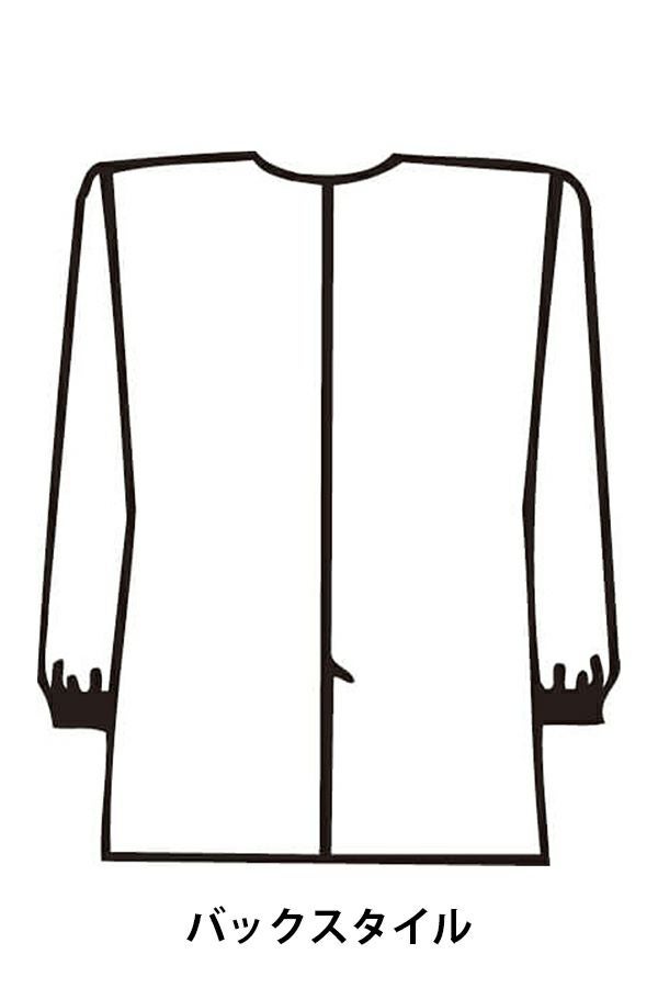 女性白衣　長袖　バックスタイル